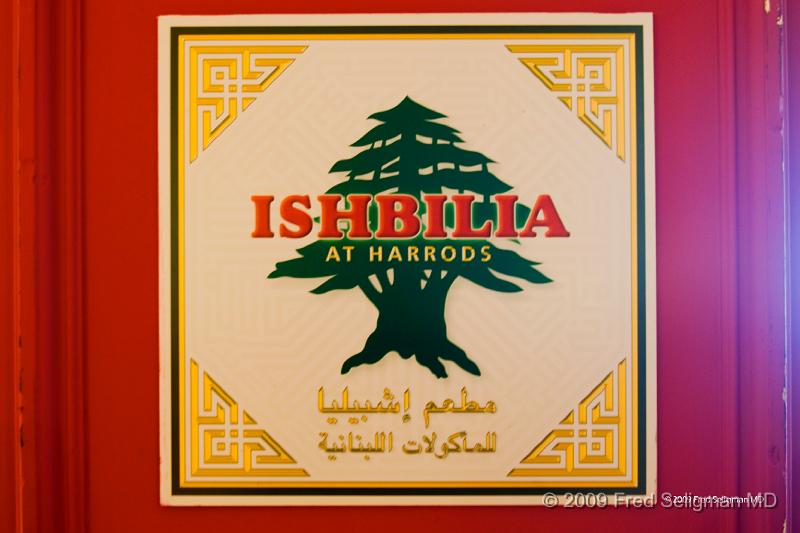 20090408_130914_D300 P1.jpg - Lebanese Restaurant at Harrods (Excellent!)